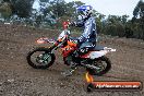 Champions Ride Days MotoX Broadford 27 10 2013 - 3CR_5338