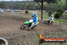 Champions Ride Days MotoX Broadford 27 10 2013 - 3CR_5444