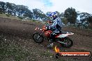 Champions Ride Days MotoX Broadford 27 10 2013 - 3CR_5498