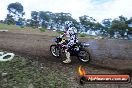 Champions Ride Days MotoX Broadford 27 10 2013 - 3CR_5513