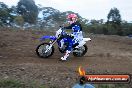 Champions Ride Days MotoX Broadford 27 10 2013 - 3CR_5524