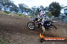 Champions Ride Days MotoX Broadford 27 10 2013 - 3CR_5539