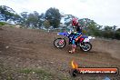 Champions Ride Days MotoX Broadford 27 10 2013 - 3CR_5549