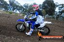Champions Ride Days MotoX Broadford 27 10 2013 - 3CR_5601