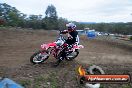 Champions Ride Days MotoX Broadford 27 10 2013 - 3CR_5637
