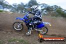 Champions Ride Days MotoX Broadford 27 10 2013 - 3CR_5645