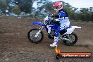 Champions Ride Days MotoX Broadford 27 10 2013 - 3CR_5652