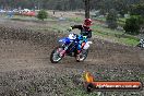 Champions Ride Days MotoX Broadford 27 10 2013 - 3CR_5670