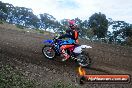 Champions Ride Days MotoX Broadford 27 10 2013 - 3CR_5675