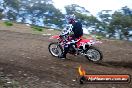Champions Ride Days MotoX Broadford 27 10 2013 - 3CR_5684