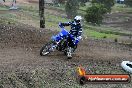 Champions Ride Days MotoX Broadford 27 10 2013 - 3CR_5686