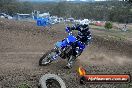 Champions Ride Days MotoX Broadford 27 10 2013 - 3CR_5689