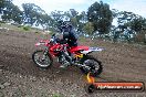 Champions Ride Days MotoX Broadford 27 10 2013 - 3CR_5723