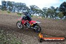 Champions Ride Days MotoX Broadford 27 10 2013 - 3CR_5724