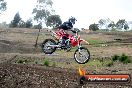 Champions Ride Days MotoX Broadford 27 10 2013 - 3CR_5736