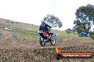Champions Ride Days MotoX Broadford 27 10 2013 - 3CR_5742