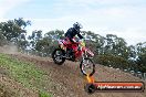 Champions Ride Days MotoX Broadford 27 10 2013 - 3CR_5745