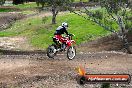 Champions Ride Days MotoX Broadford 27 10 2013 - 3CR_5752