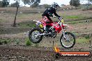 Champions Ride Days MotoX Broadford 27 10 2013 - 3CR_5777