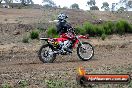 Champions Ride Days MotoX Broadford 27 10 2013 - 3CR_5780