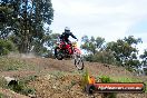 Champions Ride Days MotoX Broadford 27 10 2013 - 3CR_5782