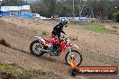 Champions Ride Days MotoX Broadford 27 10 2013 - 3CR_5787
