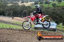 Champions Ride Days MotoX Broadford 27 10 2013 - 3CR_5812