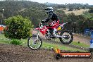 Champions Ride Days MotoX Broadford 27 10 2013 - 3CR_5813