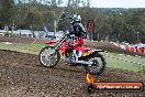 Champions Ride Days MotoX Broadford 27 10 2013 - 3CR_5814