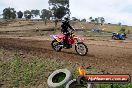 Champions Ride Days MotoX Broadford 27 10 2013 - 3CR_5825