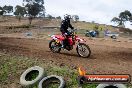 Champions Ride Days MotoX Broadford 27 10 2013 - 3CR_5826