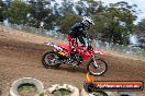 Champions Ride Days MotoX Broadford 27 10 2013 - 3CR_5830