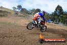 Champions Ride Days MotoX Broadford 27 10 2013 - 3CR_5840