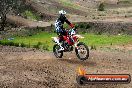 Champions Ride Days MotoX Broadford 27 10 2013 - 3CR_5841
