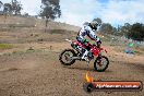 Champions Ride Days MotoX Broadford 27 10 2013 - 3CR_5844