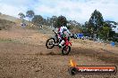 Champions Ride Days MotoX Broadford 27 10 2013 - 3CR_5845