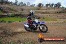 Champions Ride Days MotoX Broadford 27 10 2013 - 3CR_5862