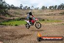 Champions Ride Days MotoX Broadford 27 10 2013 - 3CR_5873