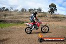 Champions Ride Days MotoX Broadford 27 10 2013 - 3CR_5874