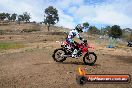 Champions Ride Days MotoX Broadford 27 10 2013 - 3CR_5875