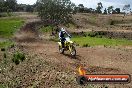 Champions Ride Days MotoX Broadford 27 10 2013 - 3CR_5884