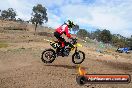 Champions Ride Days MotoX Broadford 27 10 2013 - 3CR_5892