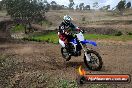 Champions Ride Days MotoX Broadford 27 10 2013 - 3CR_5895