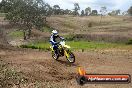 Champions Ride Days MotoX Broadford 27 10 2013 - 3CR_5913