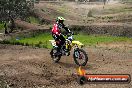 Champions Ride Days MotoX Broadford 27 10 2013 - 3CR_5918
