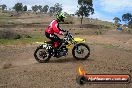 Champions Ride Days MotoX Broadford 27 10 2013 - 3CR_5920