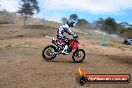 Champions Ride Days MotoX Broadford 27 10 2013 - 3CR_5943
