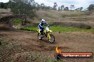 Champions Ride Days MotoX Broadford 27 10 2013 - 3CR_5945