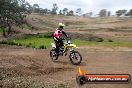 Champions Ride Days MotoX Broadford 27 10 2013 - 3CR_5950