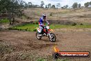 Champions Ride Days MotoX Broadford 27 10 2013 - 3CR_5960